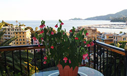 Il bed and breakfast La Terrazza sul Tigullio