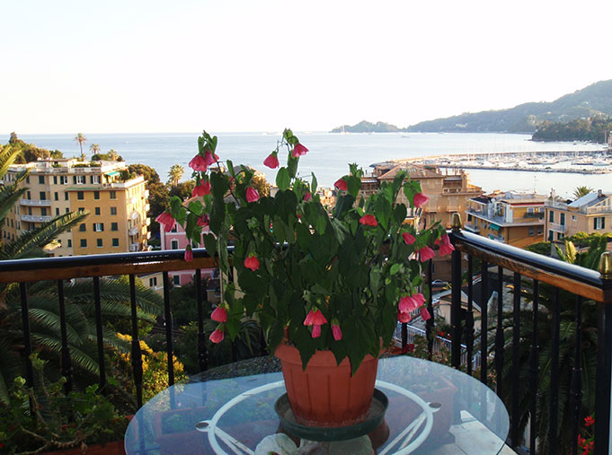 La terrazza coi suoi fiori e la splindida vista